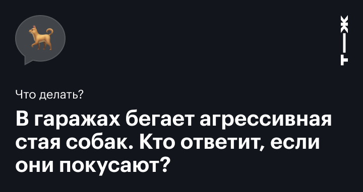 На пробежке напала собака. Что делать? | Running LIFE!