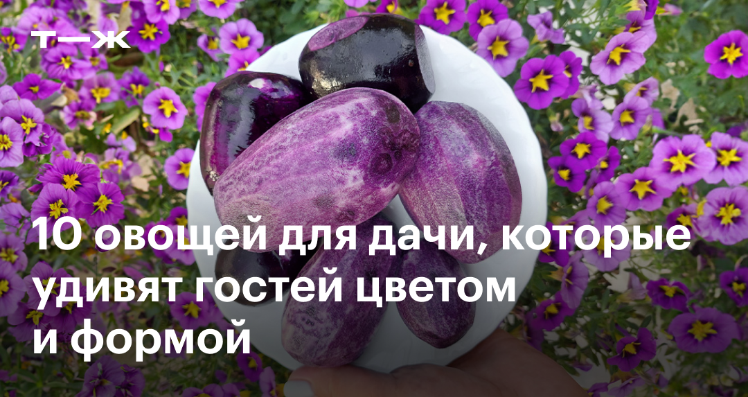 Необычные овощи, которые можно вырастить в огороде