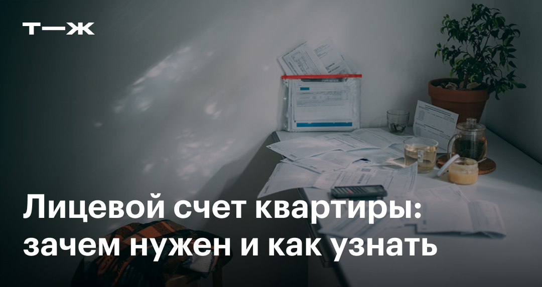 Как узнать лицевой счет квартиры по адресу в 2025