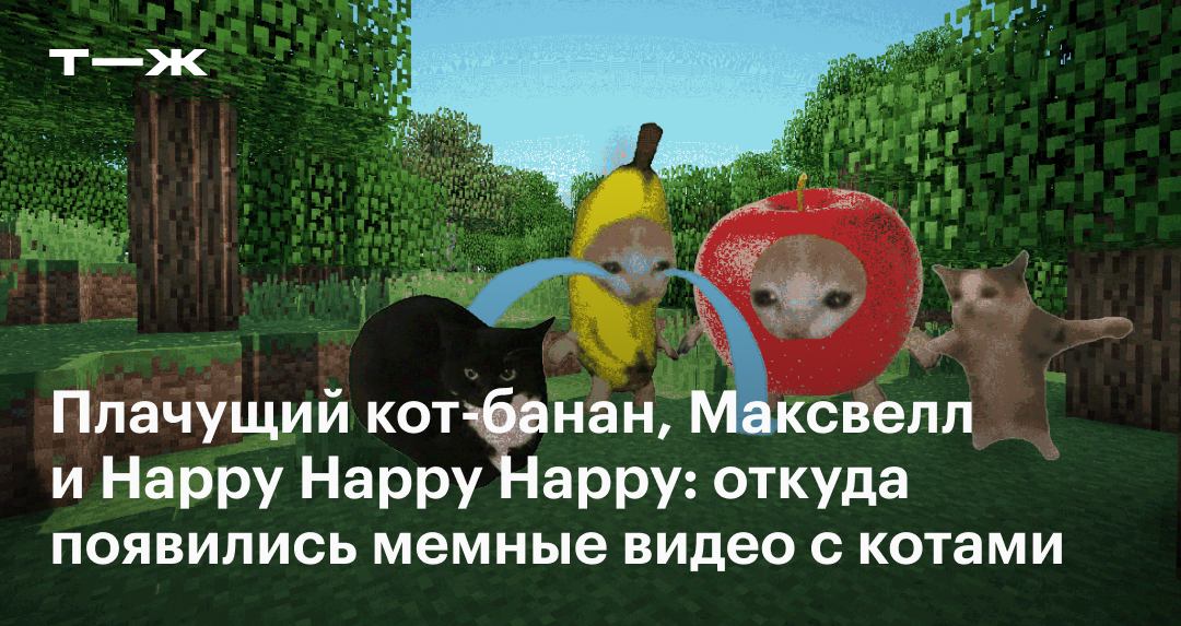 Плачущий кот-банан, Максвелл и Happy Happy Happy: откуда появились мемные видео с котами