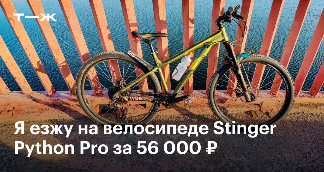 Stinger Python Pro: сколько стоит владеть велосипедом