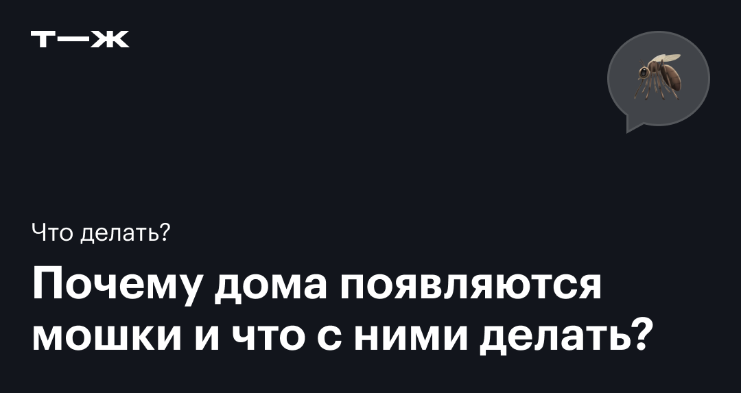 Как избавиться от мошек в цветочных горшках: все эффективные способы