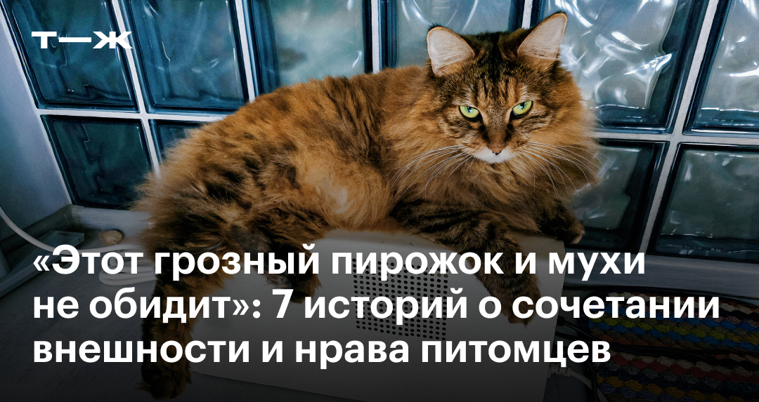 animal inside of you