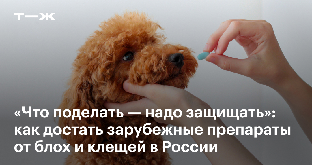 «Что поделать — надо защи­щать»: как достать зарубеж­ные препараты от ...