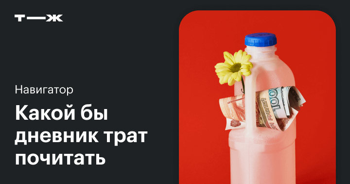 Журнал т ж читать дневник трат