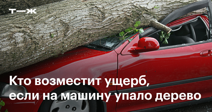 Чужие следы: что делать, если машину повредили во дворе :: Autonews
