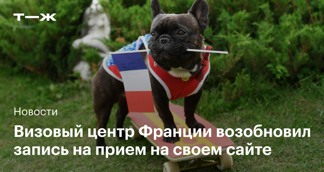 Визовый центр Франции возобновил запись на подачу документов на сайте