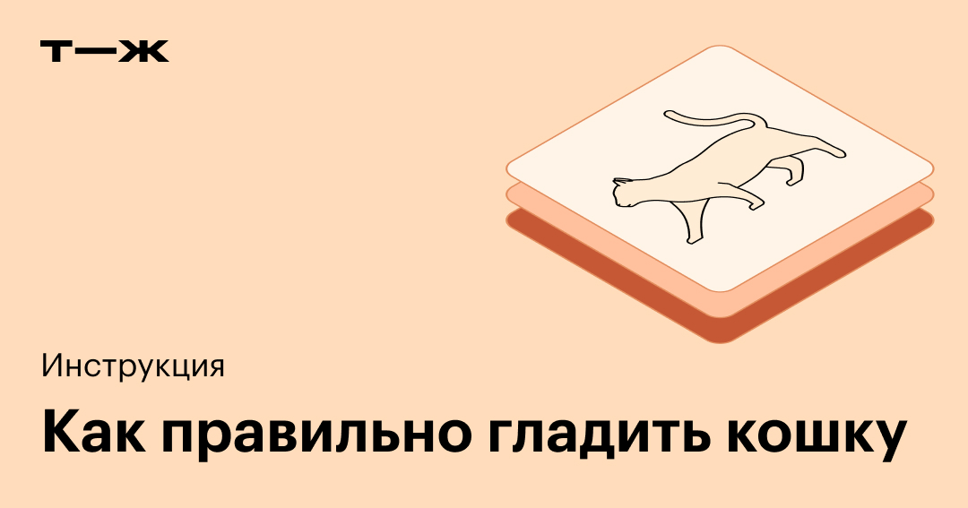Как правильно гладить кошку