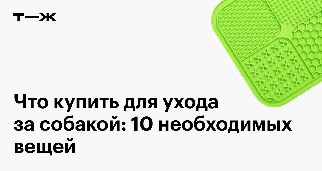 Что нужно купить для собаки: 10 вещей для ухода за питомцем