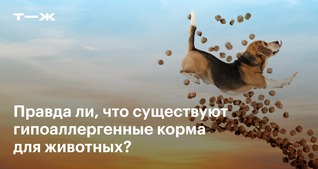 Что такое гипоаллергенный корм для собак и кошек и как его выбрать?