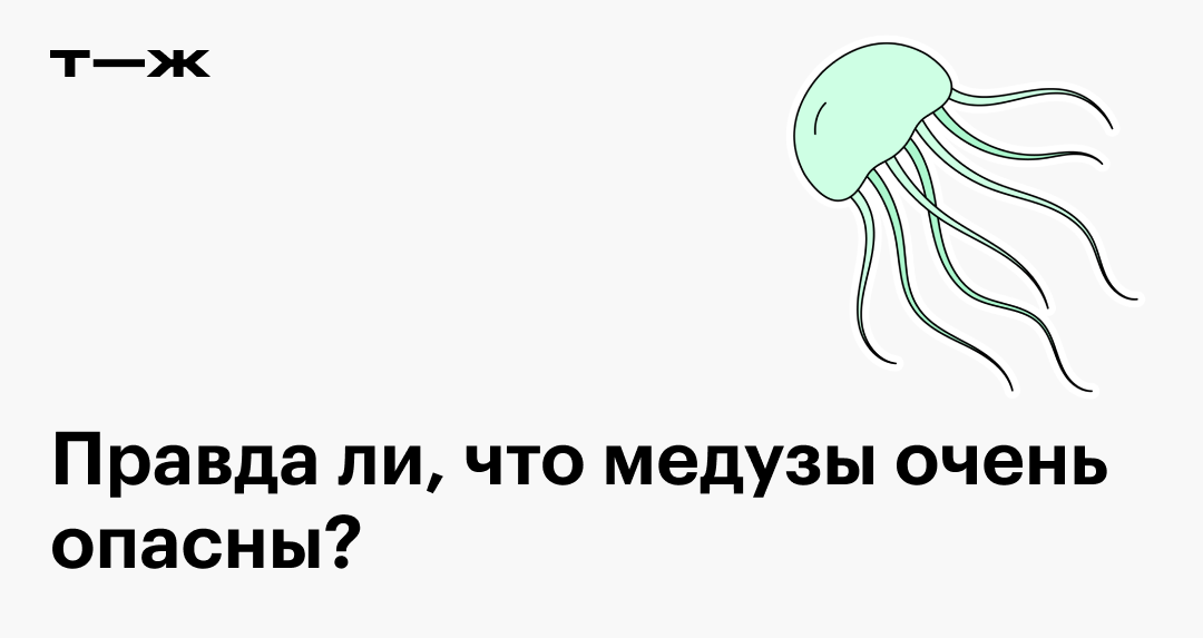 Опасны ли медузы: как они жалят людей, что делать после укуса ...