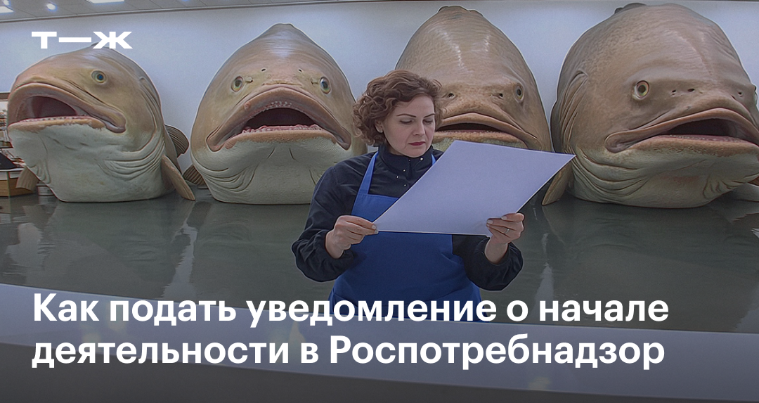 Уведомление о начале предпринимательской деятельности в 2024: как подать