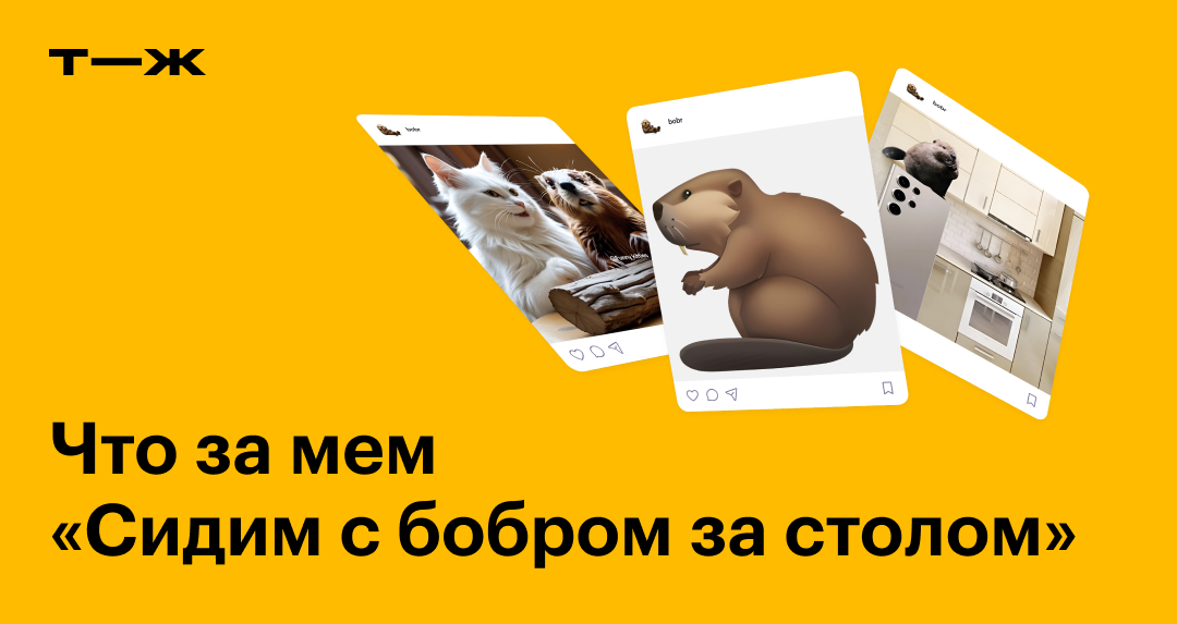 «Сидим с бобром за столом»: что за песня и почему стала мемом
