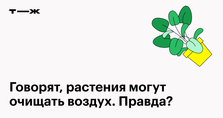 § 5. Взаимодействие растения с окружающей средой