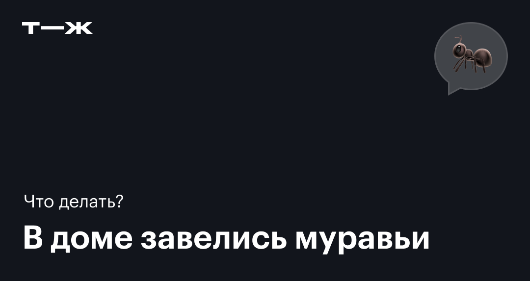 Зачем обрывать усы у огурцов? Популярные мифы и ошибки.