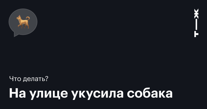 Что делать, если на улице вашу собаку покусала чужая