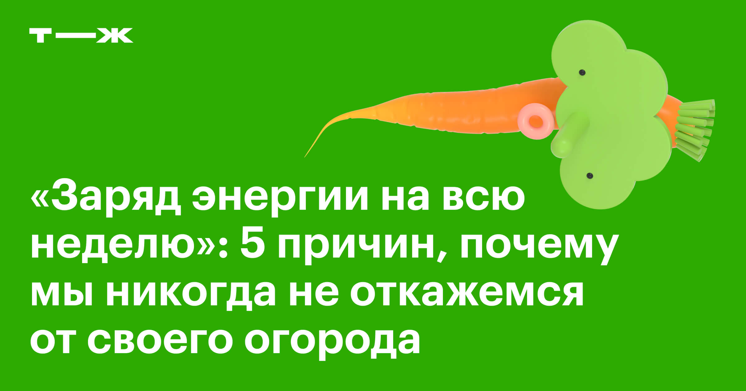 Огород: польза и 5 причин, по которым его любят