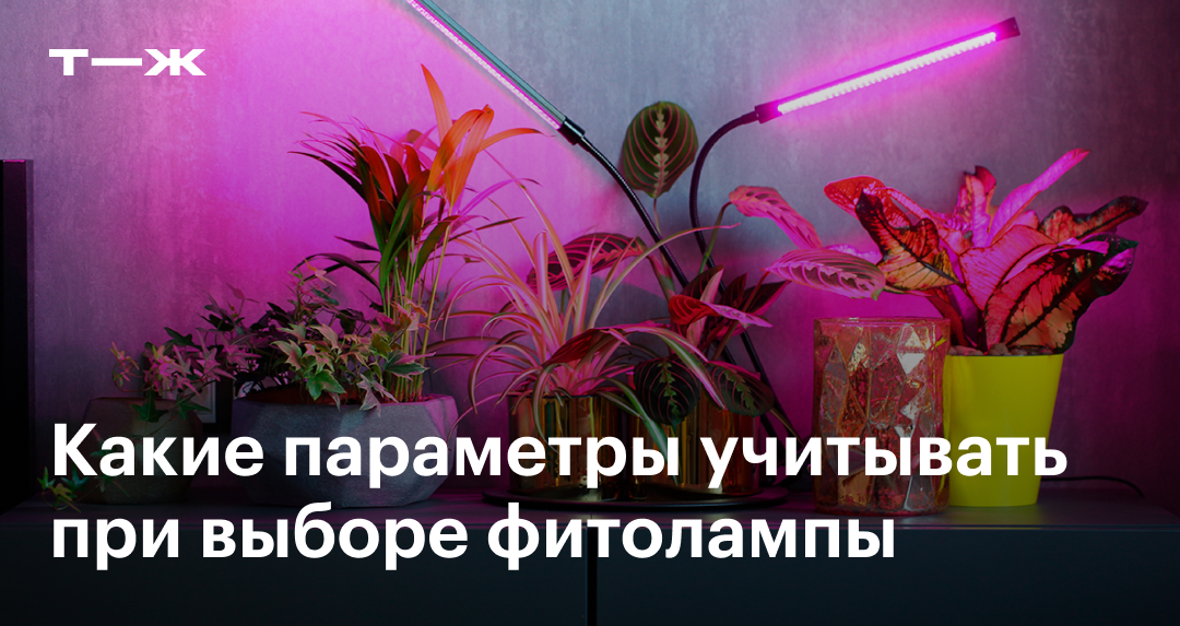 Фитолампа для рассады и растений: виды, как работает, как выбрать