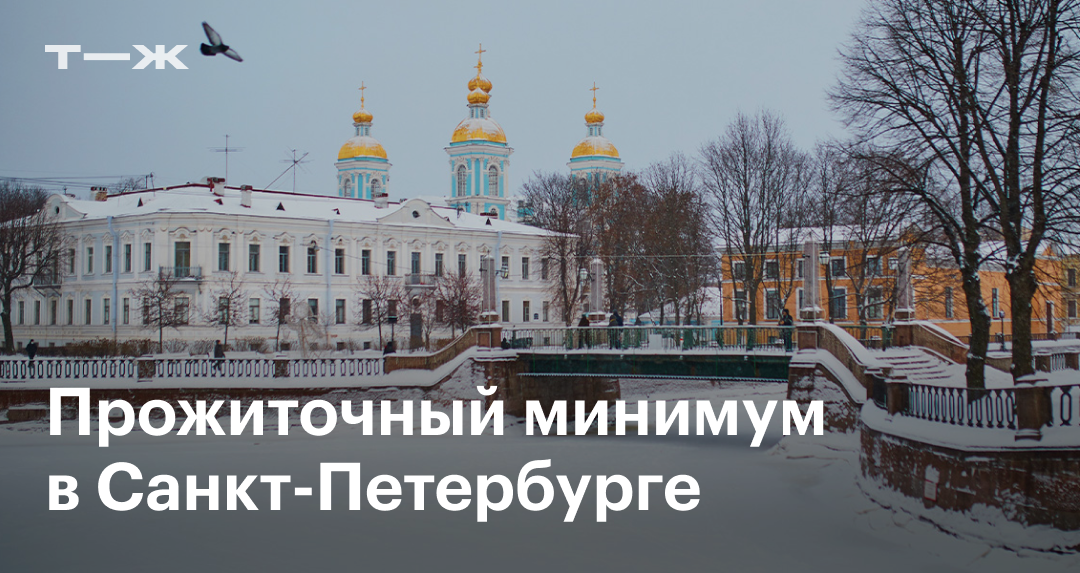 Прожиточный минимум в Санкт-Петербурге в 2025 году