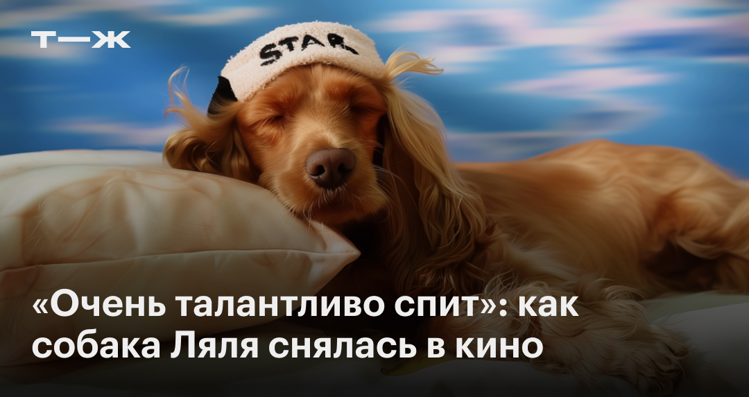 «Очень талантливо спит»: как собака Ляля снялась в кино