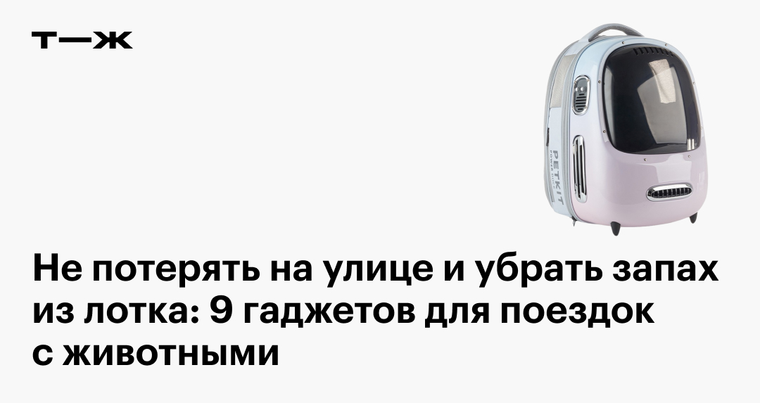 Гаджеты для путешествий с животными: 9 полезных девайсов