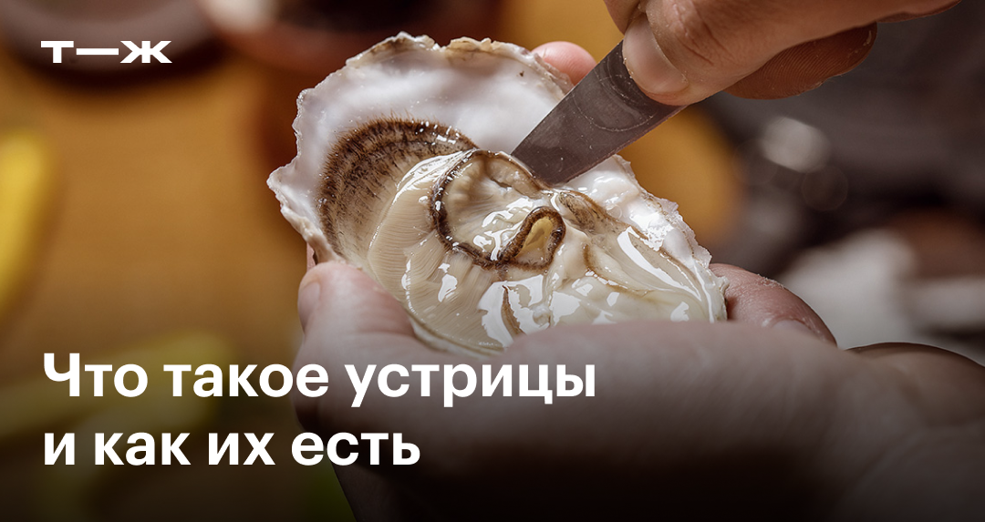 Устрицы: что это, виды, чем полезны, как правильно есть