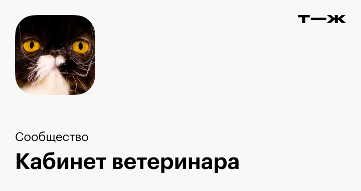 Я потратила 8000 ₽ за лечение аллергической реакции у собаки, которая ...