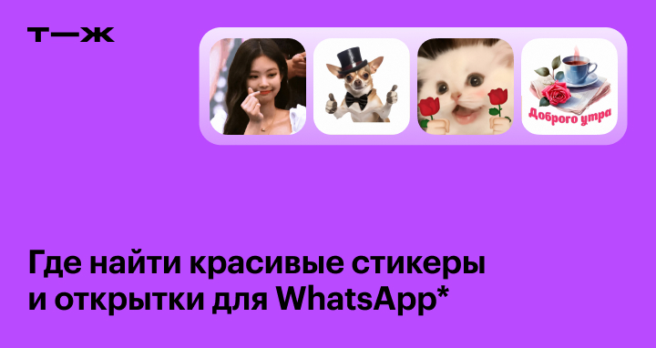 WhatsApp: истории из жизни, советы, новости, юмор и картинки — Все посты | Пикабу