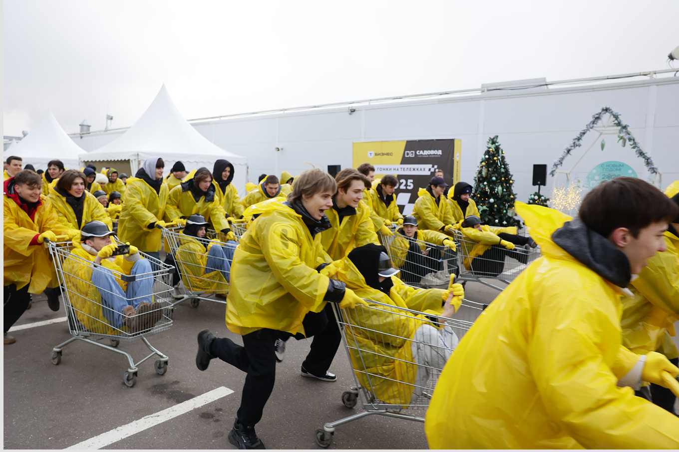 Гонки на тележках — 2025