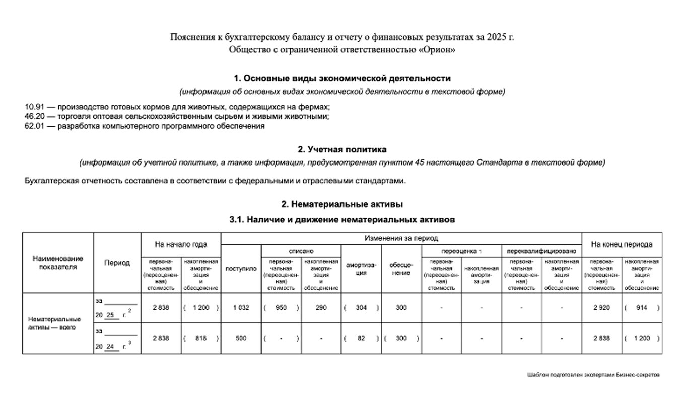 Пояснения к бухгалтерскому балансу и отчету о финансовых результатах — образец