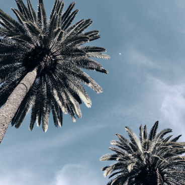 Роструд объяснил, как оформлять отпуск дистанционных сотрудников