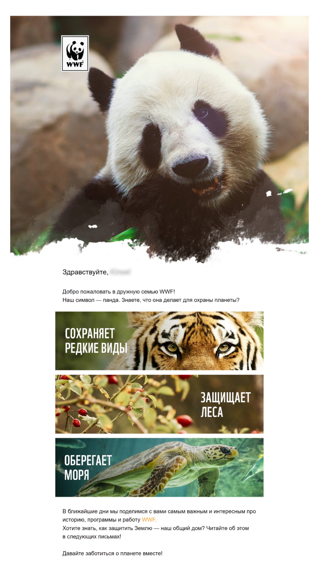 Пример welcome-письма