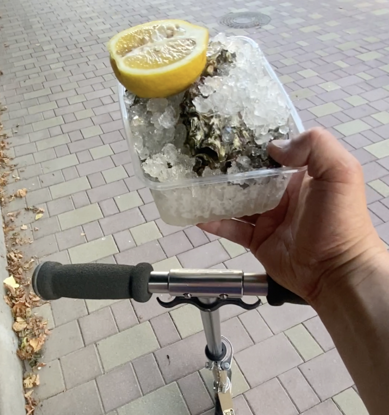 Устрицы, купленные на уличном фестивале