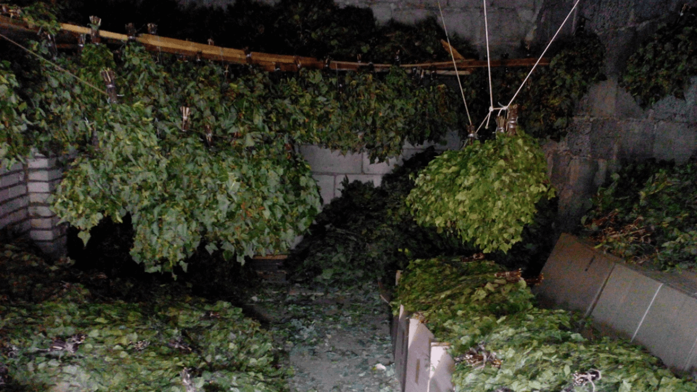 Как сушат веники