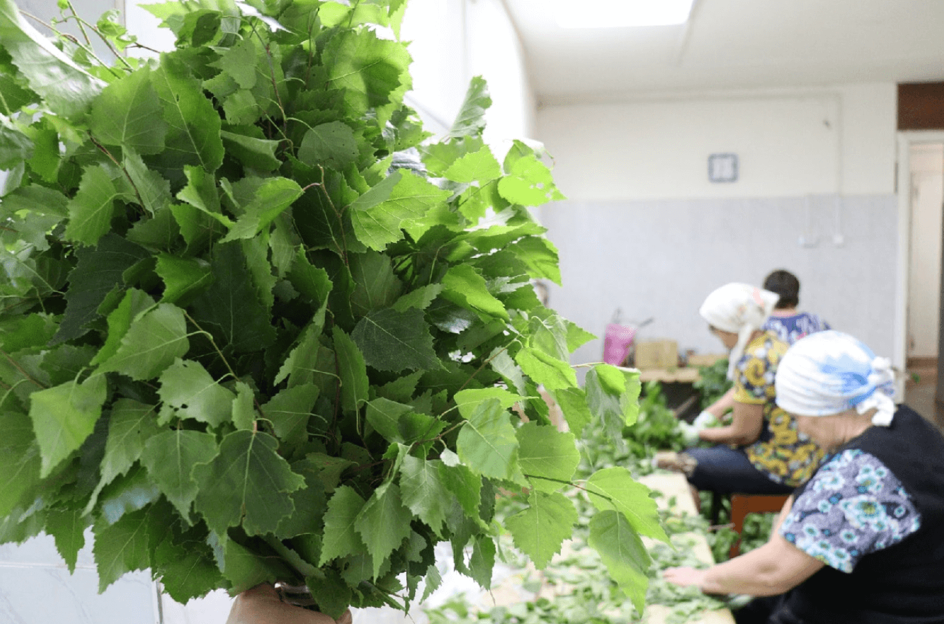 Березовый веник для детей