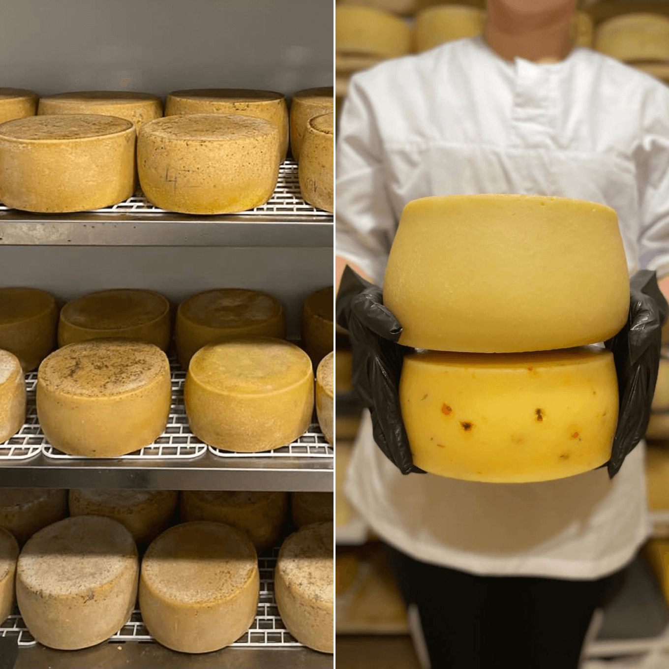 Полутвердый сыр качотта в камере созревания