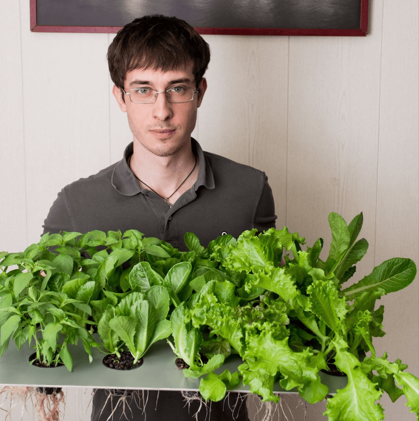 Вячеслав Карпов — сооснователь компании по производству сити-ферм