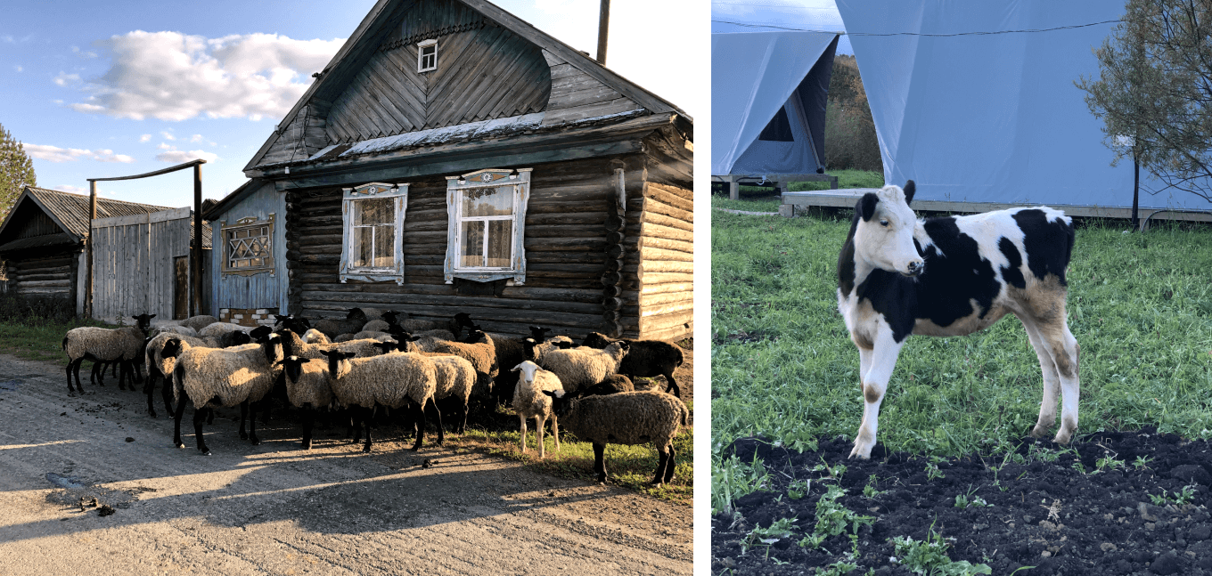 Деревня Малый Турыш, где расположен глэмпинг