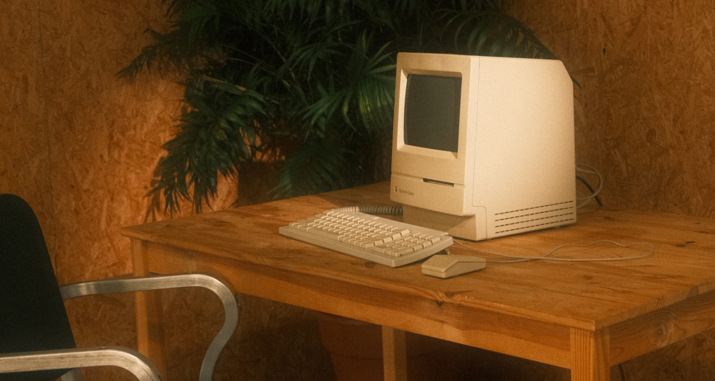 Братья Бухманы: каково открывать ИТ-компанию в провинции 2000-х