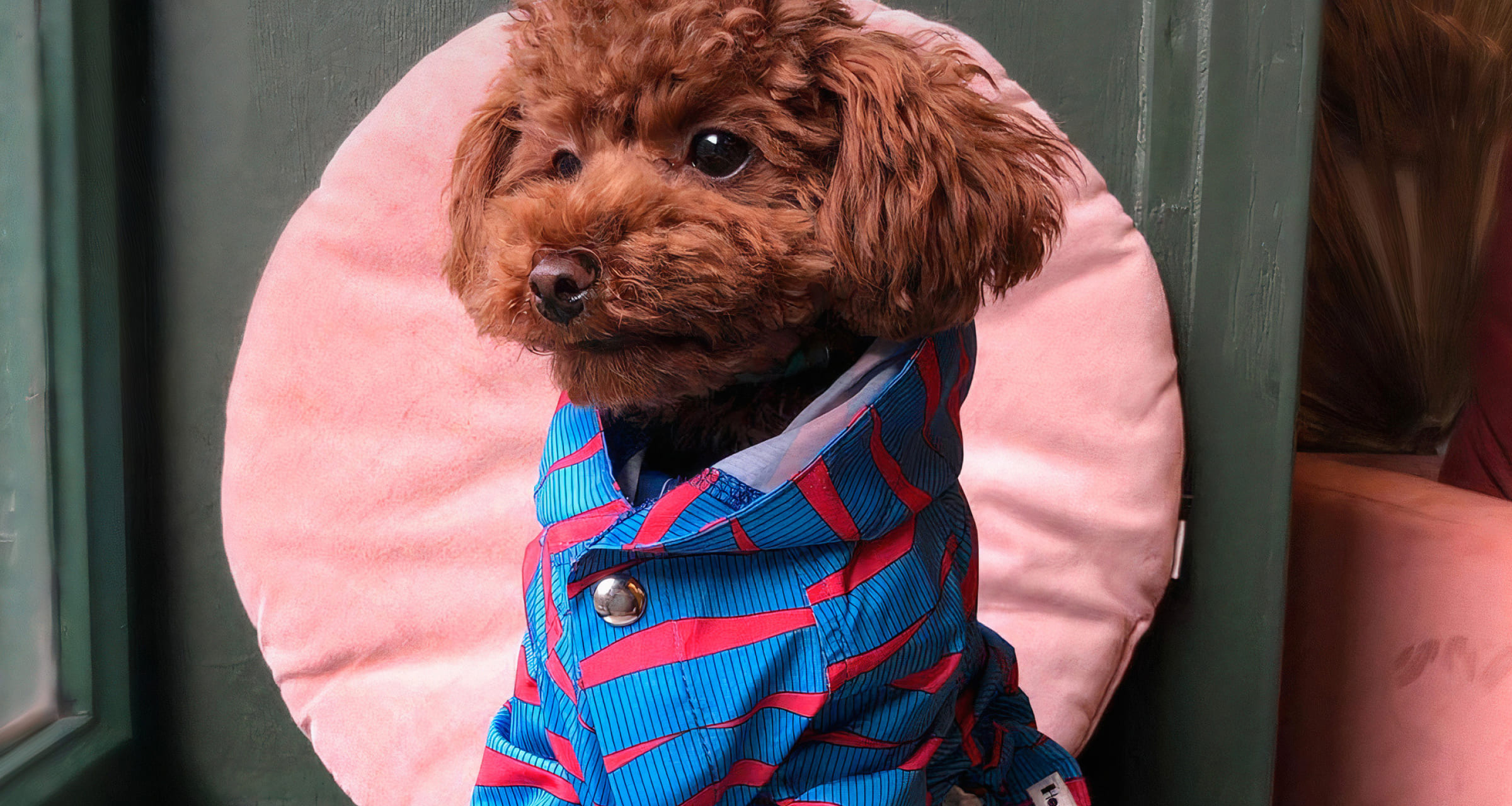 Сколько стоит открыть бизнес? Идеи от 35 000 до 80 000 000 ₽