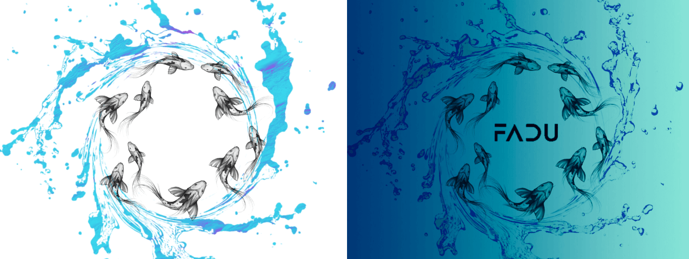 Первые референсы дизайна упаковки FaduDrum с карпами