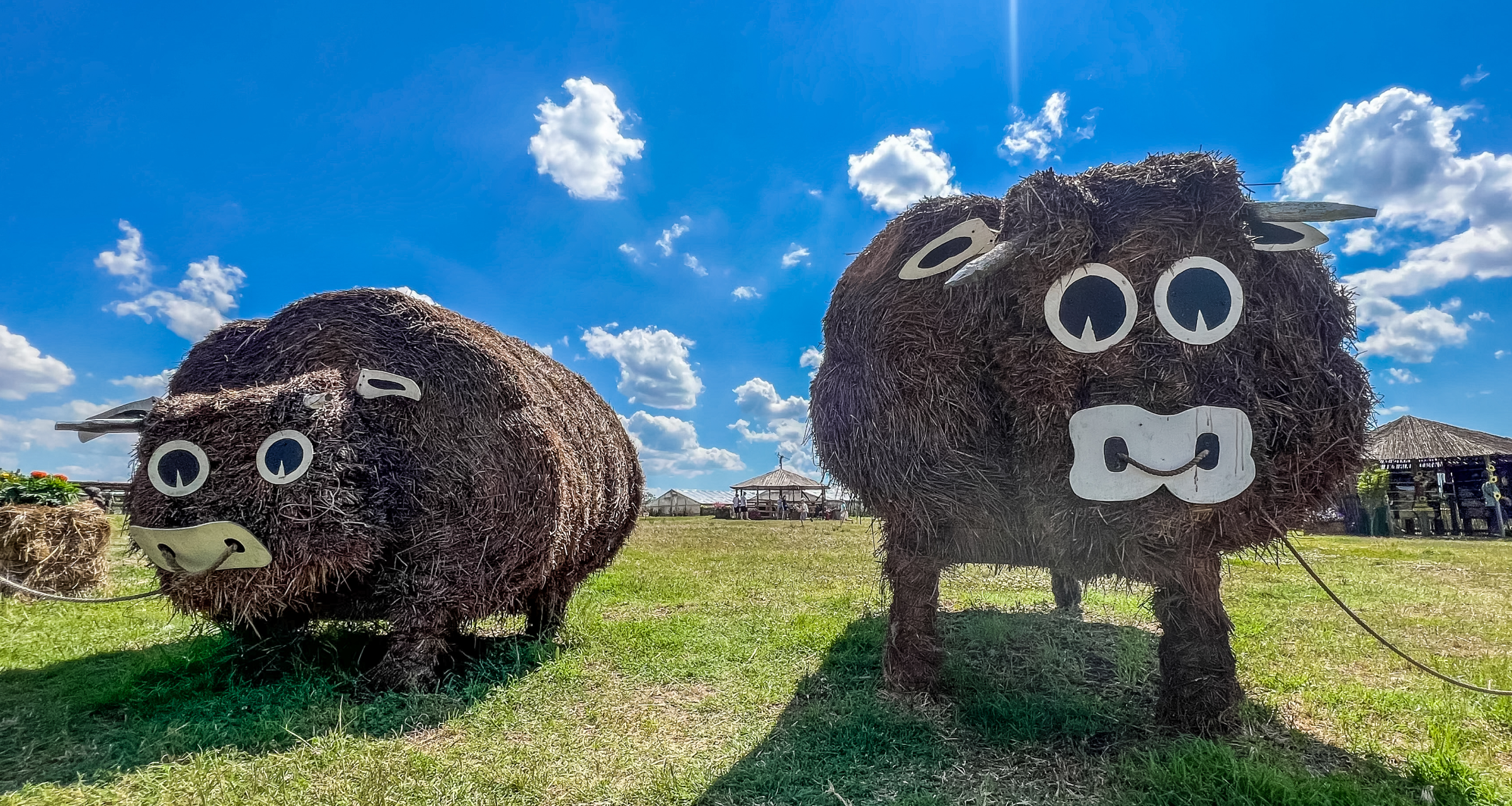 Как фермер решил увеличить продажи арбузов и создал агропарк соломенных фигур