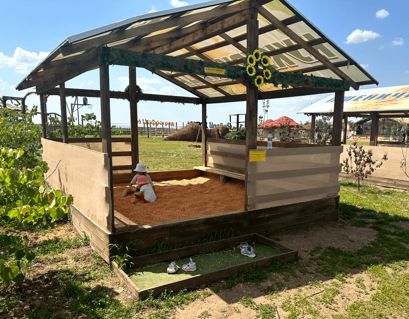 Самодельная кукурузница: вместо песка — кукуруза