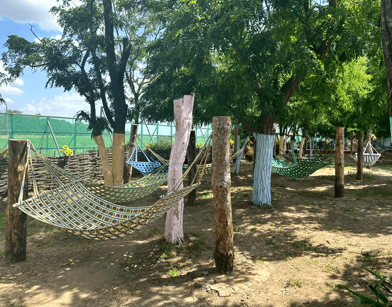 Лаундж-зона в агропарке