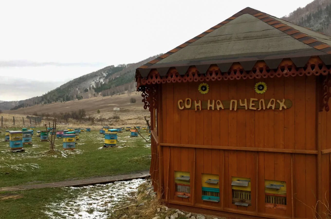 «Пчелопавильоны» на пасеках