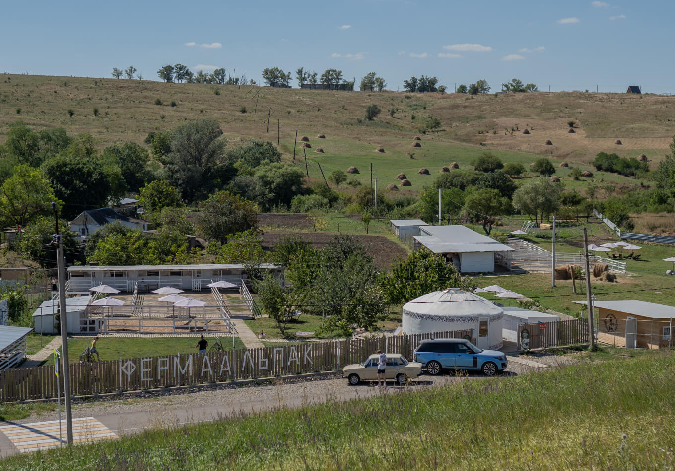 Ферма альпак в станице Темнолесской