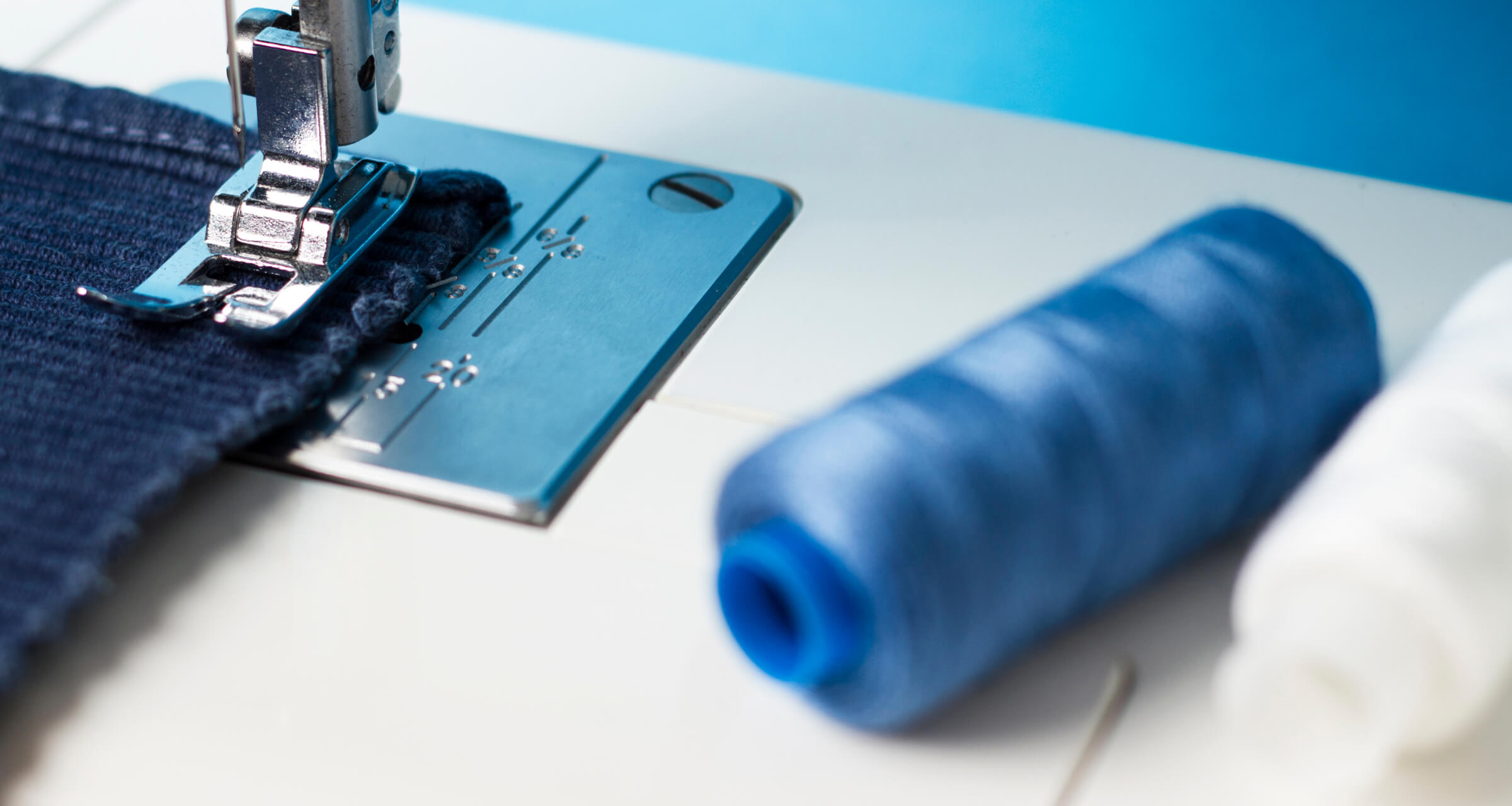 Блиц: какие ниши популярны у начинающих предпринимателей