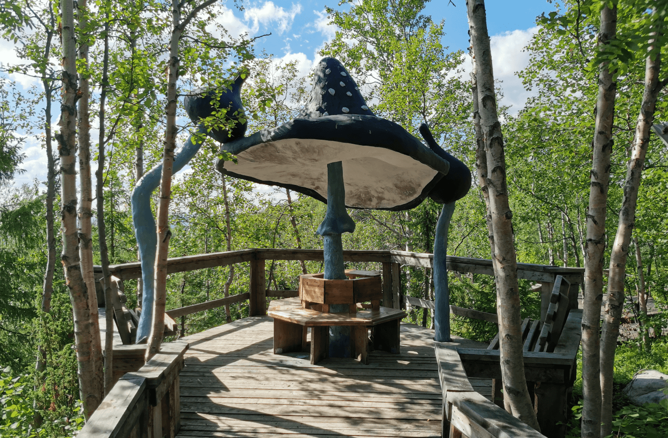 Гигантские грибы — первая работа Григория Ивкова