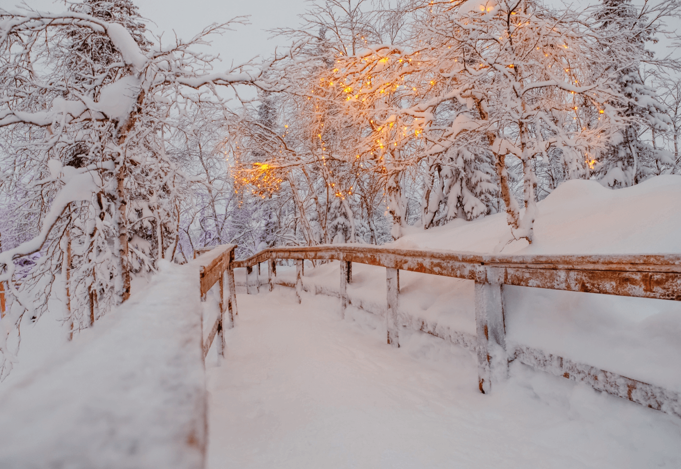 Открытие зимнего арт-парка