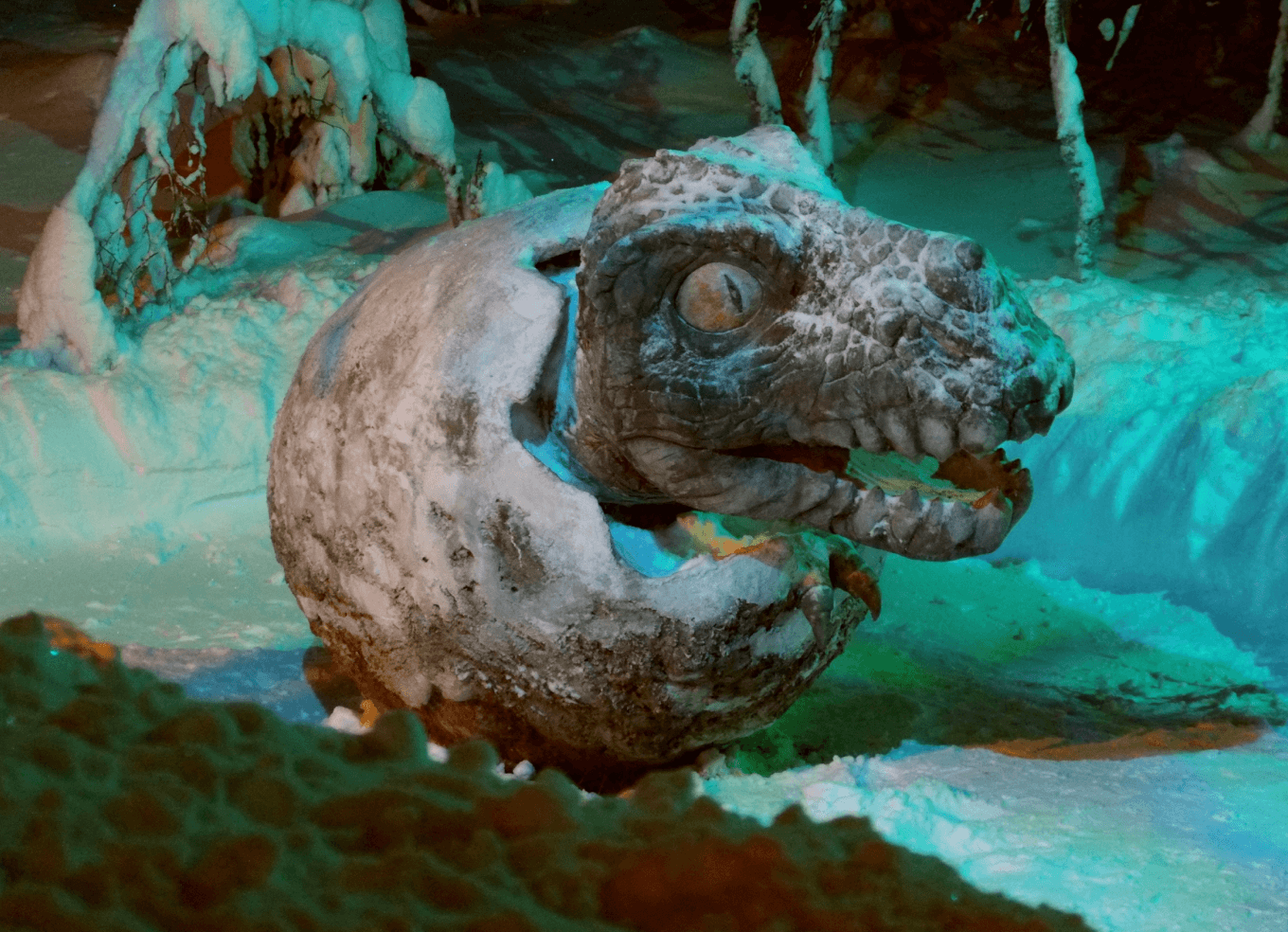 Динозавр, который только вылупился из яйца